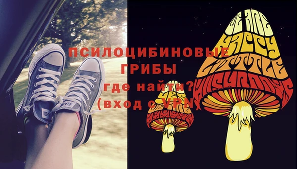 ешки Володарск